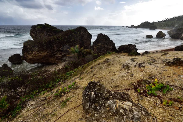 加勒比海群岛巴巴多斯岛东海岸Bathsheba海滩上著名岩石群上方的暴风雨天气 — 图库照片