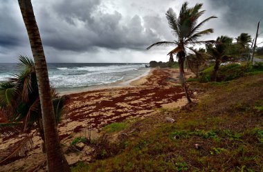 Barbados, Karayip adalarının doğu kıyısında fırtınalı bir hava var..