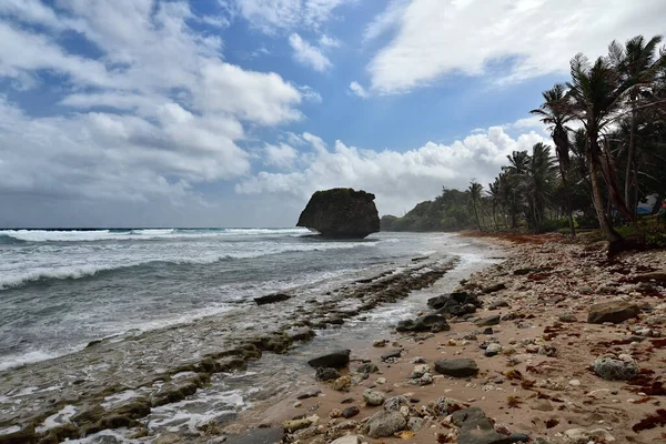 Formation Des Roches Sur Plage Bathsheba Côte Est Île Barbade — Photo