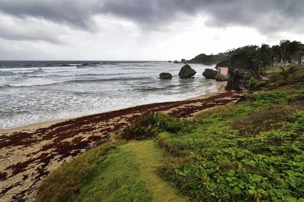 加勒比海群岛巴巴多斯岛东海岸Bathsheba海滩上著名岩石群上方的暴风雨天气 — 图库照片