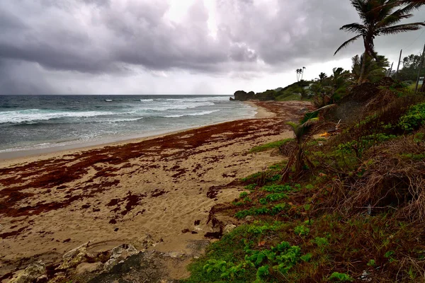 Nubes Tormentosas Sobre Costa Este Barbados Islas Del Caribe — Foto de Stock
