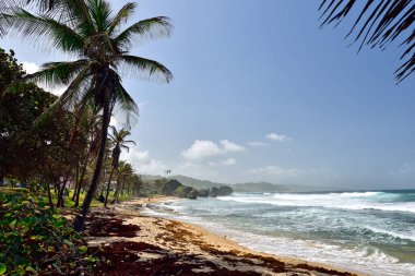 BATHSHEBA, BARBADOS; 23 Şubat 2020: Bathsheba, Karayip Adaları 'nın doğu kıyısında mavi gökyüzü