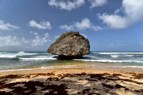 Ciel Bleu Dessus Énorme Rocher Sur Plage Bathsheba Côte Est — Photo