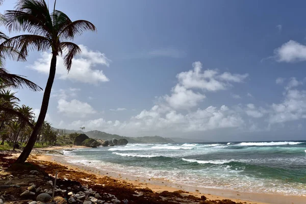 Cielo Azul Sobre Playa Betsabé Costa Este Isla Barbados Islas — Foto de Stock