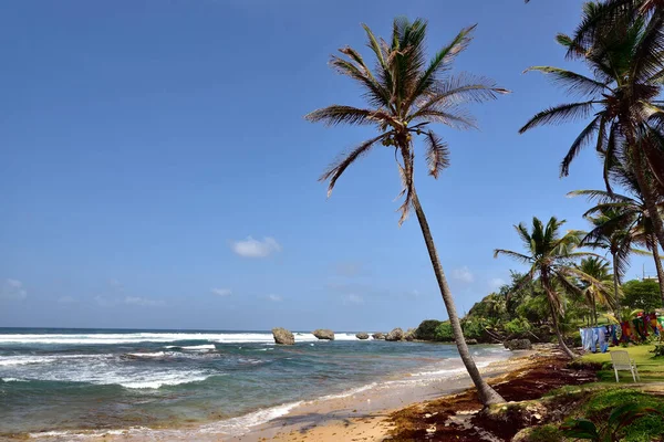 Ciel Bleu Dessus Plage Bathsheba Côte Est Île Barbade Îles — Photo