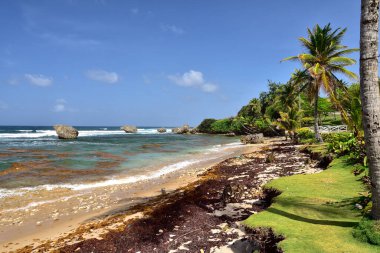 Bathsheba sahilinin yukarısındaki mavi gökyüzü, Barbados adasının doğu kıyısı, Karayip Adaları