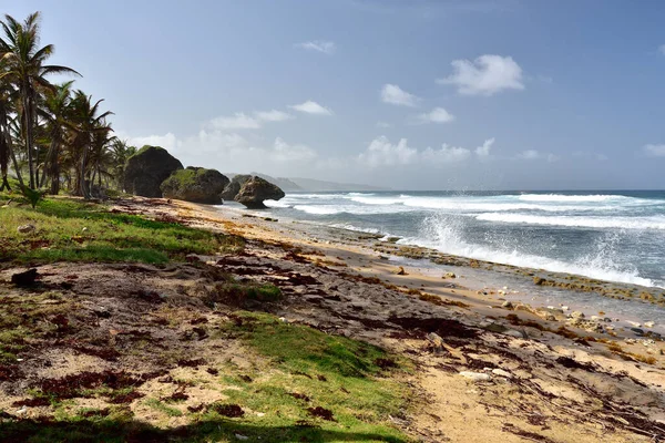 Modrá Obloha Nad Pláží Bathsheba Východní Pobřeží Ostrova Barbados Karibské — Stock fotografie