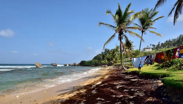 Bathsheba Barbados Febrero 2020 Personas Playa Betsabé Costa Este Isla — Foto de Stock