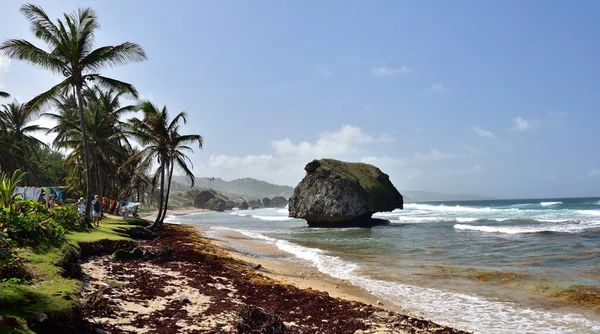 Bathsheba Barbados Února 2020 Lidé Pláži Batšeba Východní Pobřeží Ostrova — Stock fotografie