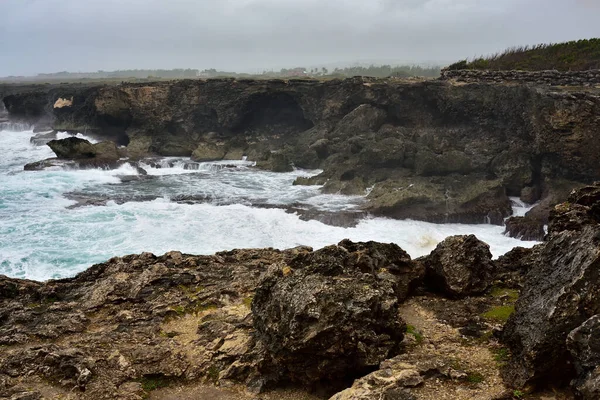 Grove Havbølger Bryder Sammen Mod Stenede Klipper North Point Barbados - Stock-foto