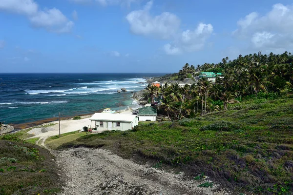 Zátoka Batšeba Východní Pobřeží Ostrova Barbados Karibské Ostrovy — Stock fotografie