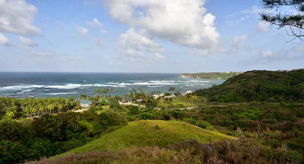 Die Küste Nordbarbados Mit Felsen Und Meerwasser — Stockfoto