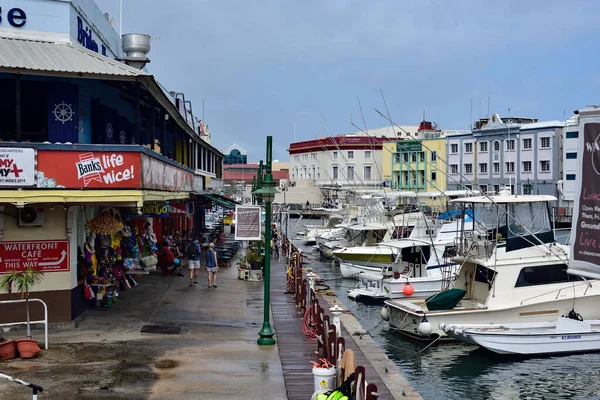 Bridgetown Barbados Lutego 2020 Zatłoczone Nabrzeże Porcie Bridgetown Barbados — Zdjęcie stockowe
