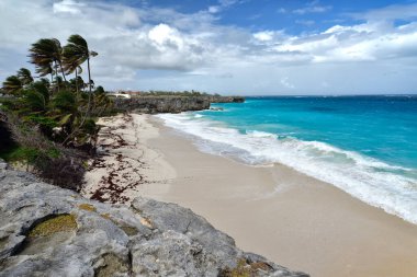 alt bay barbados Karayip Adası üzerinde en güzel plajlarından biridir. Turkuaz deniz üzerinde asılı avuç içi ile tropikal bir cennet