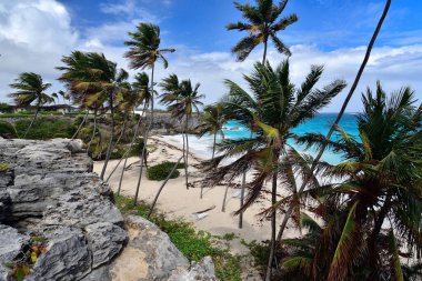 alt bay barbados Karayip Adası üzerinde en güzel plajlarından biridir. Turkuaz deniz üzerinde asılı avuç içi ile tropikal bir cennet