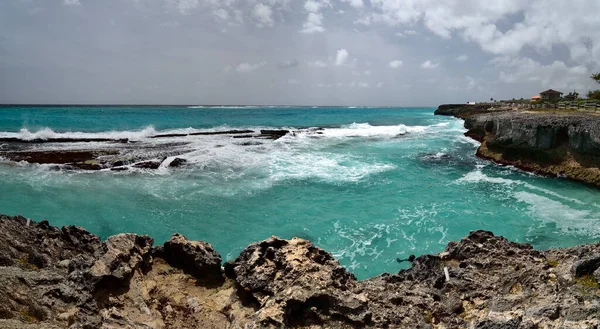 Costa Rocosa Cerca Del Agujero Tiburón Costa Oeste Isla Barbados — Foto de Stock
