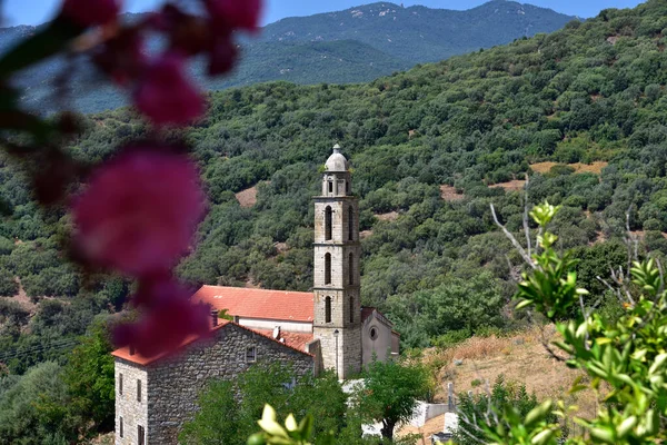 Santa Maria Corsica Francie Srpna 2020 Kostel Santa Maria Figaniedda — Stock fotografie