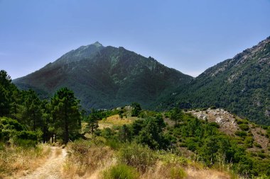 Orta Korsika, Fransa 'daki Pasciola Kalesi' nden güzel yeşil dağ manzarası