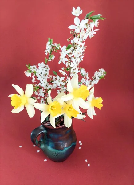 Seau de jonquilles avec huit fleurs dans un vase sombre sur fond rouge — Photo