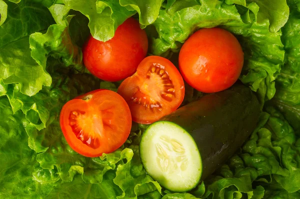 marul ve domates salatası