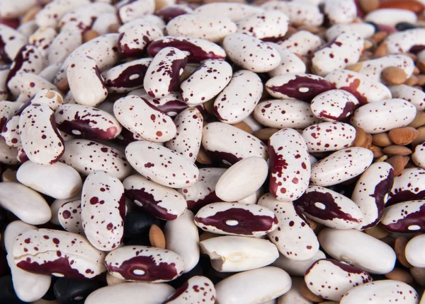 Dry beans Royalty Free Stock Images