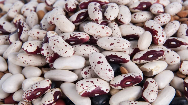 Dry beans Stock Photo