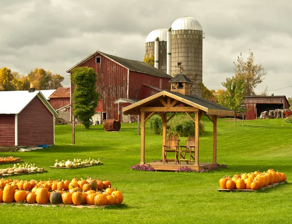 Farm in autumn Stock Picture