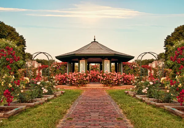 Formalny ogród różany Zdjęcie Stockowe