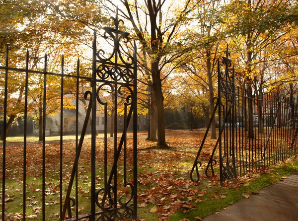 Kleine park — Stockfoto