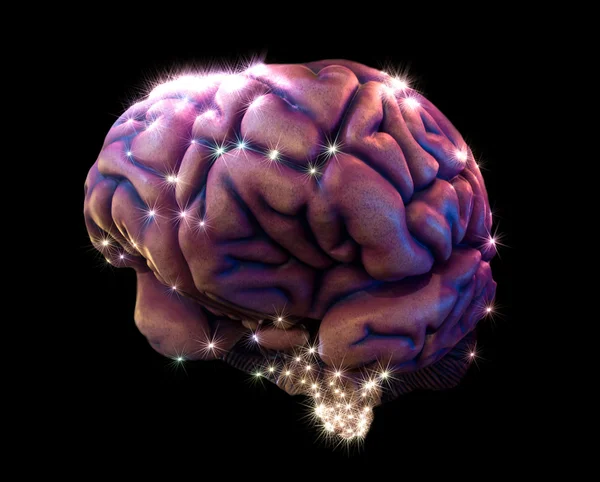 Voorstelling van de hersenen — Stockfoto