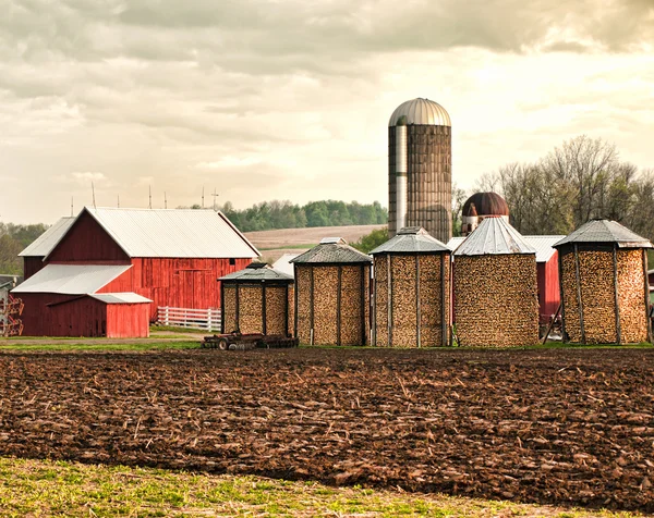 Kukuřice farma — Stock fotografie