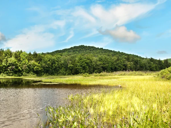 Gilman Lake — Stock Photo, Image