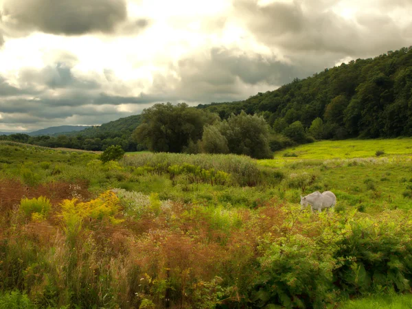 Bella valle — Foto Stock