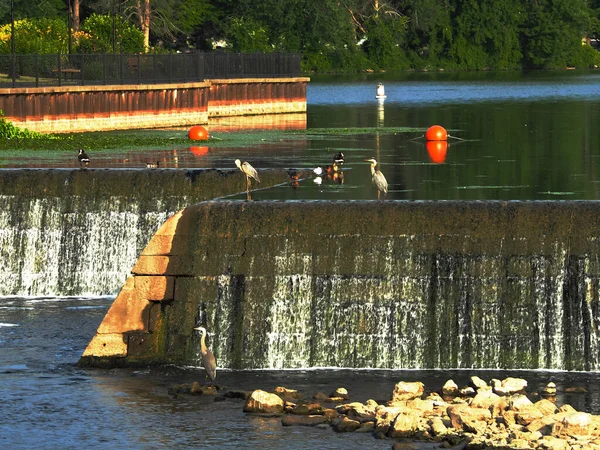 Řeka Seneca Přehrada Vesnici Baldwinsville New York — Stock fotografie