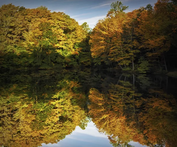 Efterårstræer Refleksion Helt Roligt Vand Clay New York - Stock-foto