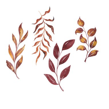 Beyaz arkaplanda izole edilmiş bir yaprak kümesinin vektör çizimi