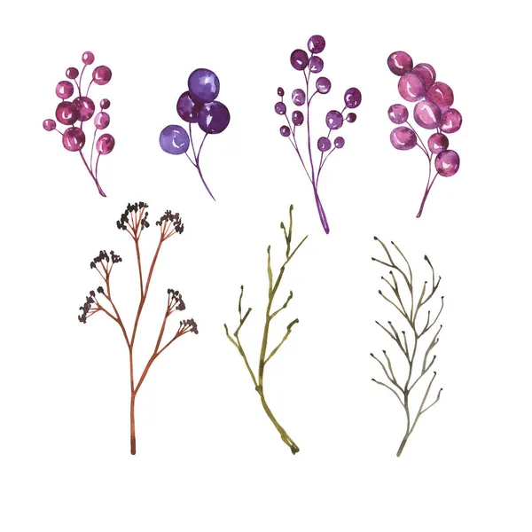 Vektor Illustration Uppsättning Rgglada Blommor Royaltyfria Stockfoton