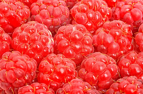 Sweet ripe raspberries — Stock Photo, Image