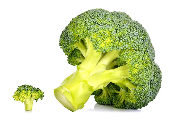 Big and small fresh broccoli — Stock Photo, Image