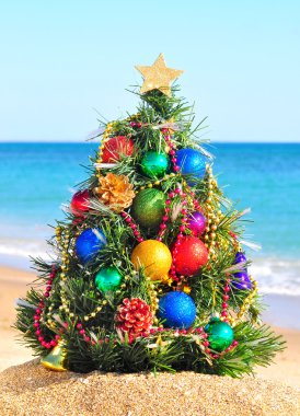 Kumsaldaki kumda Noel ağacı