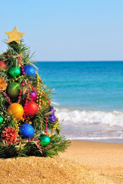 Kumsaldaki kumda Noel ağacı