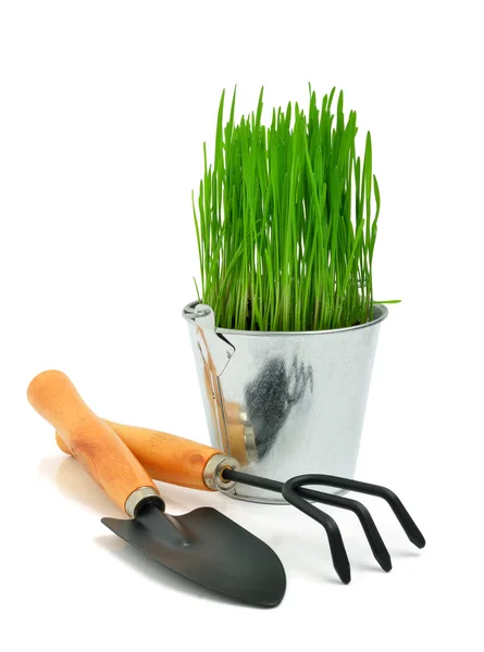 Shovel, aluminium bucket with grass, rake garden tools — Stock Photo, Image