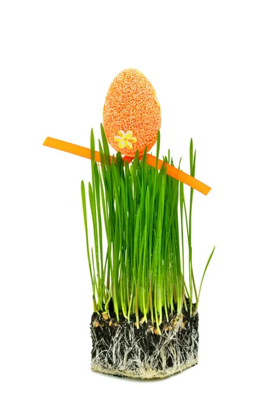 Påskägg på färskt grönt vetegräs — Stockfoto