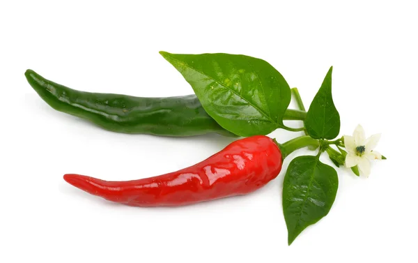 Red and green hot peppers with leaf — Stock Photo, Image