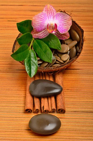 Orchideenblüte, Kieselsteine in der Kokosnussschale und Zimtstangen — Stockfoto