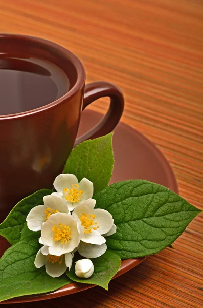 Tea cup with jasmine flower on the wood — Stock Photo, Image