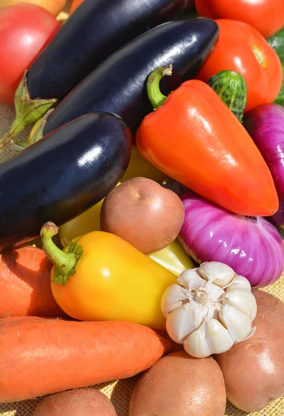Rijp heldere groenten — Stockfoto