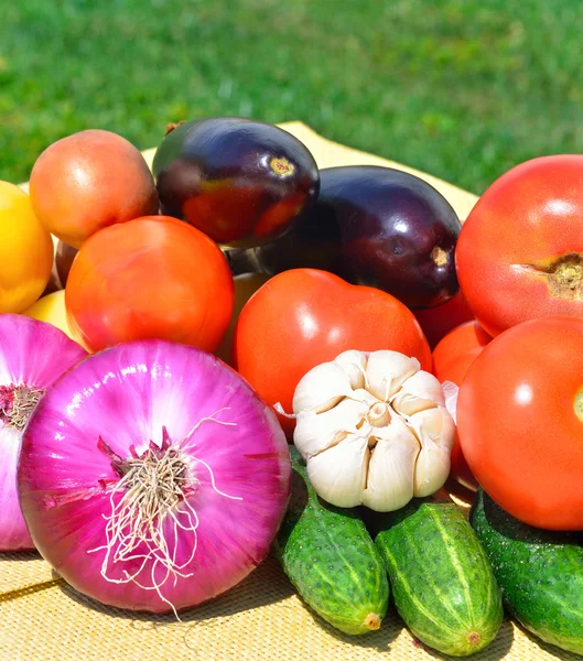 Légumes frais sur l'herbe verte — Photo