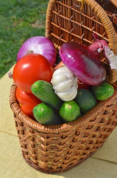 Сырые, зрелые овощи в корзине для пикника — стоковое фото