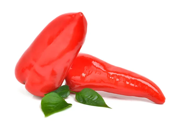 Fresh red bell peppers — Stock Photo, Image